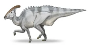 Restoration