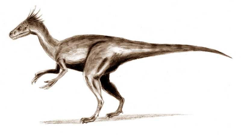 Dinosaurs Of Ecuador Fossil Wiki Fandom