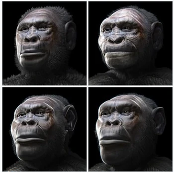 Homo georgicus