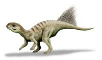 Chaoyangsaurus BW