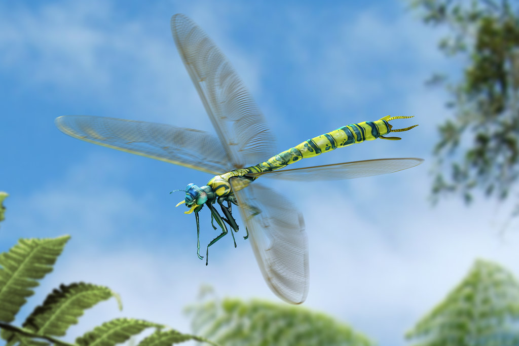 giant dragonfly extinct