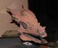 Stygimoloch