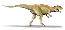 Giganotosaurus BW