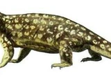 Phthinosuchus