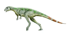 Pisanosaurus 