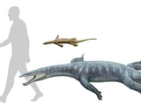 Nothosaurus