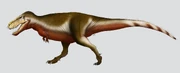 Reconstruction of Zhuchengtyrannus magnus