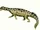 Pachypleurosaurus