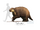 Glossotherium