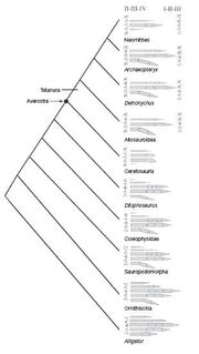 Limusaurus phylogeny1