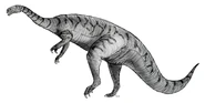 Sketch plateosaurus.jpg (99 KB) Plateosaurus