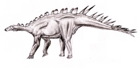 Dacentrurus