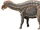 Dicraeosaurus hansemanni22.jpg