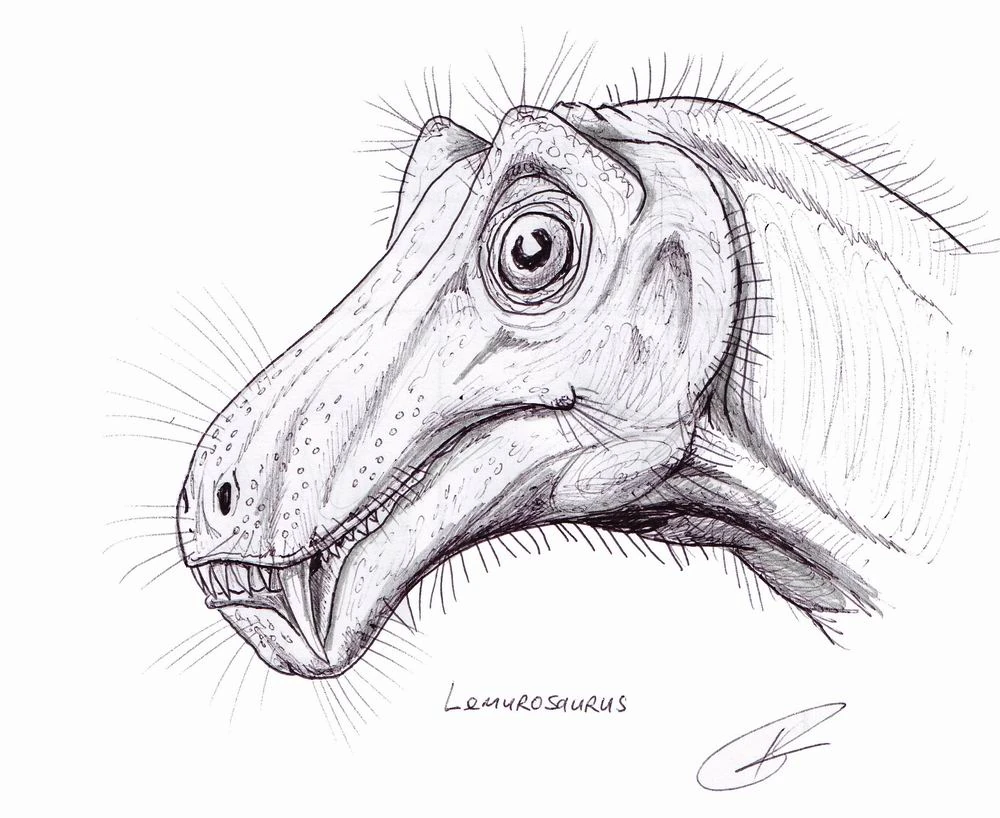 Lemurosaurus | Fossil Wiki | Fandom