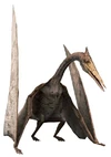 Restoration of Haenamichnus