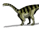 Sellosaurus