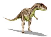 Restoration of , a  Abelisaur