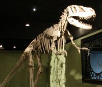 Sinraptor hepingensis