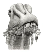 A  ingesting gastroliths.