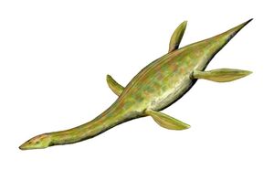 Thalassiodracon