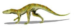 Hesperosuchus BW