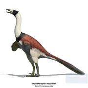 Reconstruction of Halszkaraptor calling
