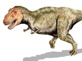 List of Tyrannosaurids