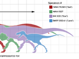 Specimens of Tyrannosaurus