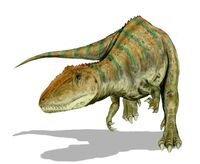 Carcharodontosaurus BW