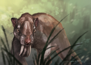 Illustration of Thylacosmilus atrox