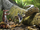 Eoconstrictor