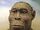 Homo rudolfensis