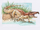 Samsarasuchus