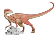 Abrictosaurus life restoration