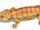 Pintosaurus