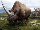 Elasmotherium