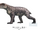 Promoschorhynchus