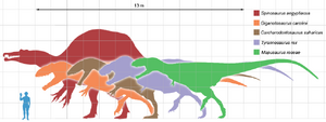 Largesttheropods