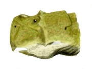 Psittacosaurus sibiricus BW