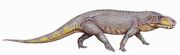 Prestosuchus11DB