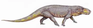 Prestosuchus chiniquensis