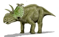 Albertaceratops