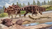 Life reconstruction of two Huaxiazhoulong fighting