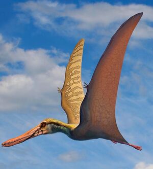 Cearadactylus