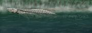 Longosuchus BW