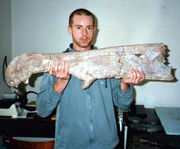 The Dal Sasso specimen of S