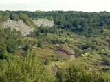 Messel pit