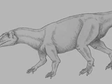 Xuanhanosaurus
