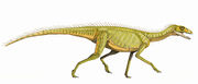 Silesaurus1