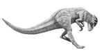 Prenocephale